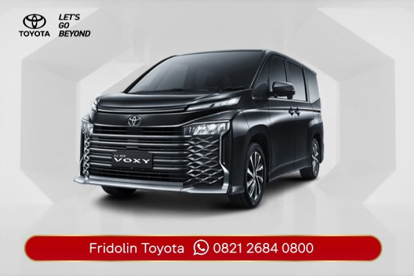 All New Voxy
